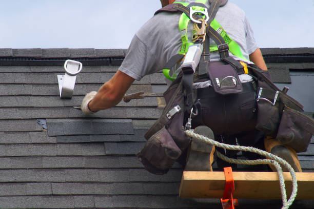 Best Roof Gutter Cleaning  in Delhi, LA